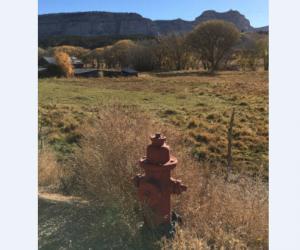 Kennedy hydrant spotted outside Zion National Park